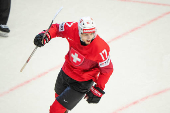 IIHF World Championships - Quarter Finals - Switzerland v Austria