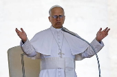 Pope Leo attends his weekly general audience