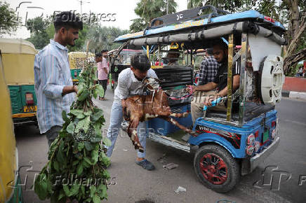 A man holds a goat as he tries to put it inside an e-rickshaw outside a livestock market ahead of the Eid al-Adha festival in the old quarters of Delhi