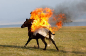 International equestrian race held in Kyrgyzstan