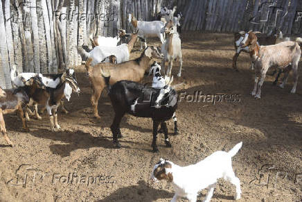Agropecuaria