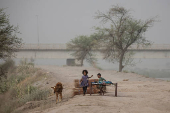 Children play with livestock along the bank of the Chenab River in Multan
