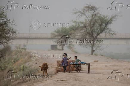 Children play with livestock along the bank of the Chenab River in Multan