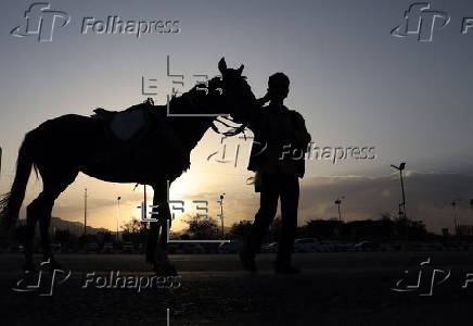 Horse riding in Sana'a