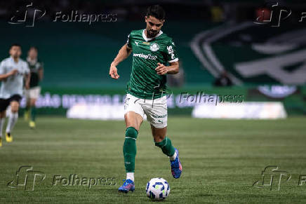 PALMEIRAS-GREMIO: CAMPEONATO BRASILEIRO SERIE A 2025