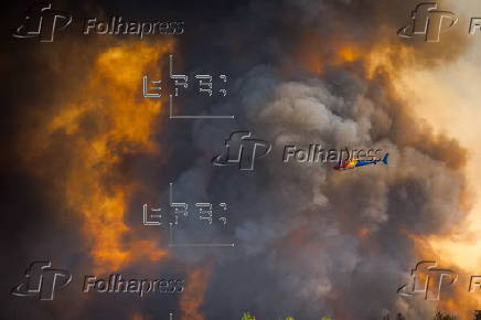 Wildfires in Portugal