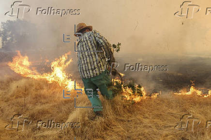 Incendio en Cipérez (Salamanca)