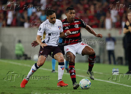 Copa Libertadores - Group Stage - Flamengo v LDU Quito