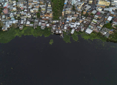 Cheia dos rios - Regiao do Rio Negro