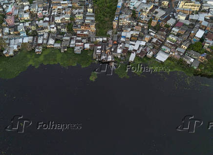 Cheia dos rios - Regiao do Rio Negro