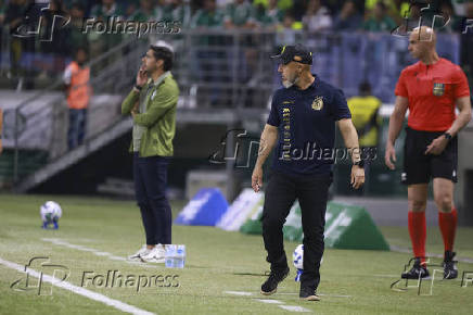 Match between Palmeiras and Mirassol for the Brazilian football championship