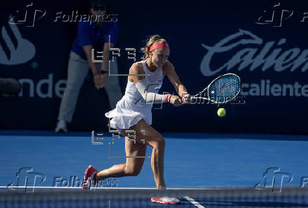 Abierto de Tenis de Monterrey