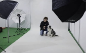 Pet Expo 2025 in Bucharest