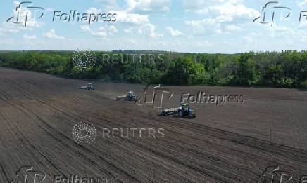 Farmers sow sunflower in Rostov region