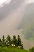 Birch Glacier causes avalanche near Blatten
