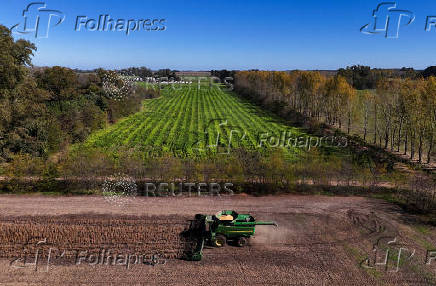 FILE PHOTO: Argentine farmers hurry up to bring in soy with more rains on horizon