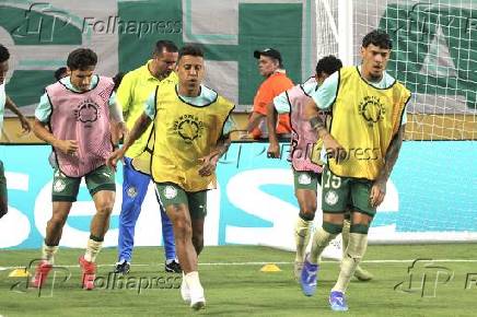 Inter miami fc vs palmeiras :fifa club world cup.