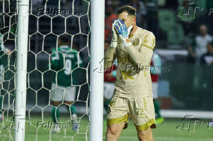 Palmeiras x Mirassol