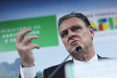Outbreak of bird flu in Brazil