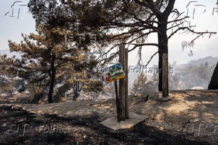 Wildfires continue to rage on Greek island of Chios