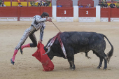 Corrida de Hogueras en Alicante