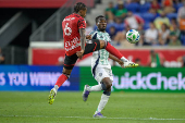 MLS: New England Revolution at New York Red Bulls
