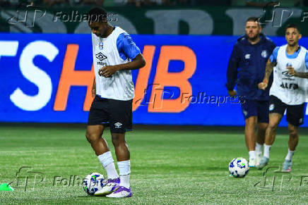 SAO PAULO, SP, 26.07.2025-BRASILEIRO SERIE A-PALMEIRAS (SP) X GREMIO (RS)