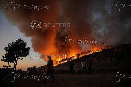 Wildfire in Turkey's western Bursa province