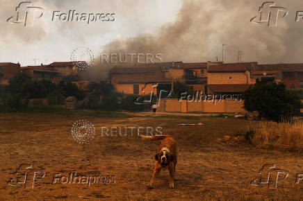 Wildfire in Congosta