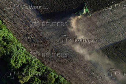 Soybean harvest in Rio Grande do Sul state, Brazil