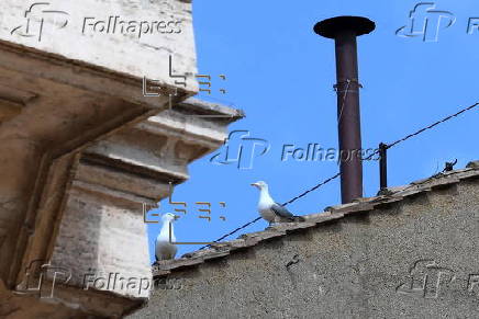 Conclave to elect new Pope