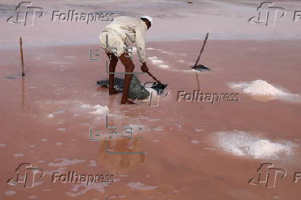 Sea salt harvesting in Karachi