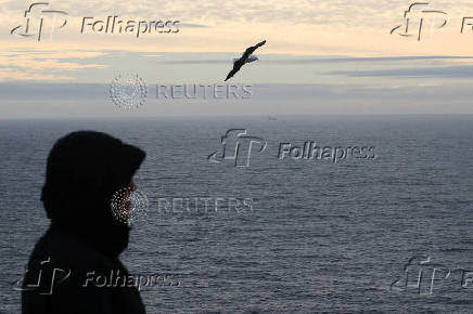 Aftermath of an earthquake struck off Russia's Far Eastern Kamchatka Peninsula