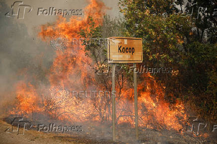 Wildfires spread in Montenegro amid heatwave