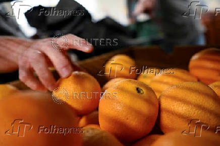 Food pantry is busy, weeks into the continuing U.S. government shutdown, in Fountain