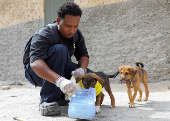 Somali man defies taboo to care for Mogadishu's stray dogs and cats