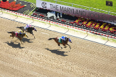 Horse Racing: 150th Preakness