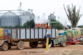 Fuel shortages threaten harvests in Bolivia as crisis deepens