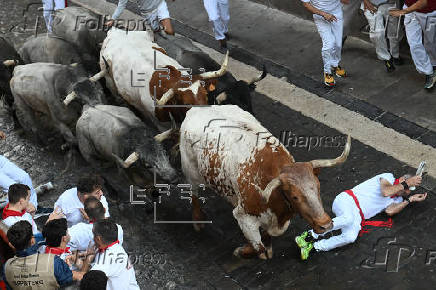 Vuelven a Pamplona los toros de José Escolar para el sexto encierro de los Sanfermines