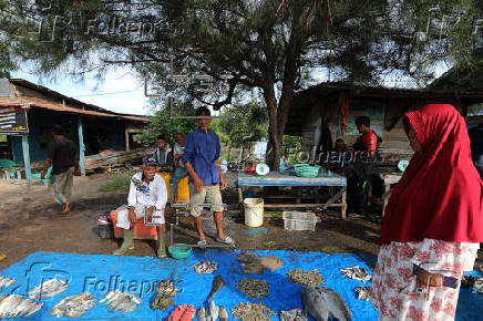 Daily life of fishermen in a traditional fishing port