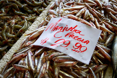 Santa Feira do Peixe no Ceagesp