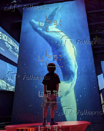 La Expo de Osaka elige imagen del pabellón de España entre las mejores fotos de la semana