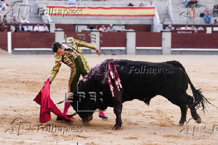 Toros en Las Ventas