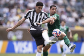 Palmeiras x Botafogo
