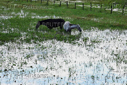 Heavy rain causes flooding in central Bolivia, in Trinidad