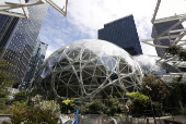 Buildings and features of the Amazon Corporation headquarters and campus in Seattle