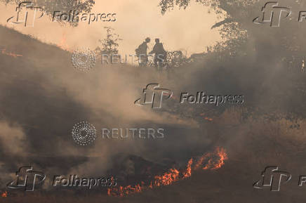 Firefighters tackle the Madre Fire near New Cuyama