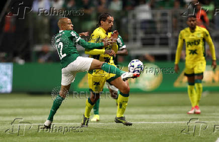 Brasileiro Championship - Palmeiras v Mirassol