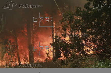 Forest fire at Fornos de Algodres