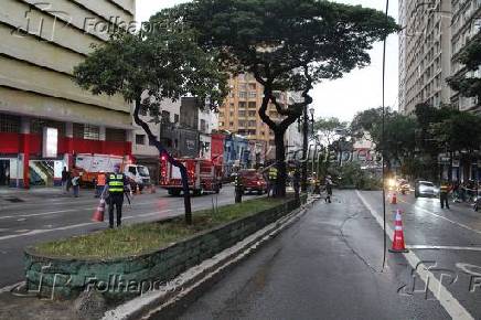 Queda de árvore mata taxista no centro de São Paulo